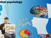 What Is Educational Psychology?